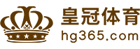 Logo 华体会体育(hthsports)